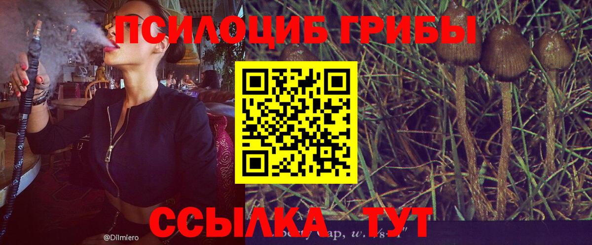 Псилоцибиновые грибы Magic Shrooms Зеленокумск